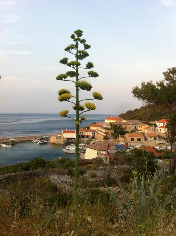 Apartments Katja Mali Lošinj Buitenkant foto